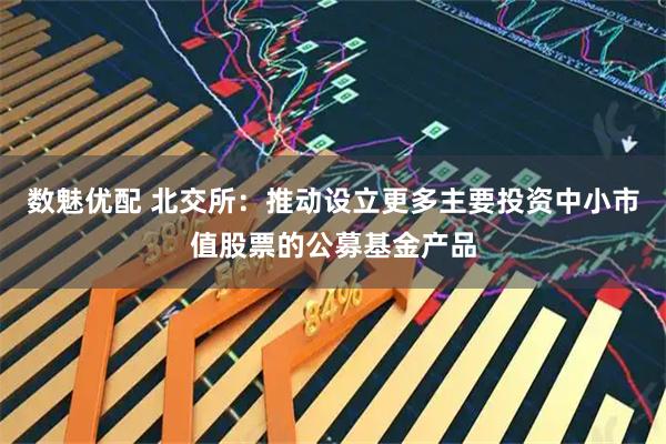 数魅优配 北交所：推动设立更多主要投资中小市值股票的公募基金产品