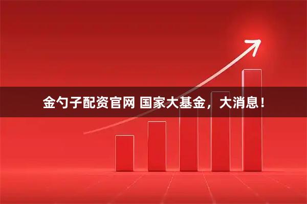 金勺子配资官网 国家大基金，大消息！