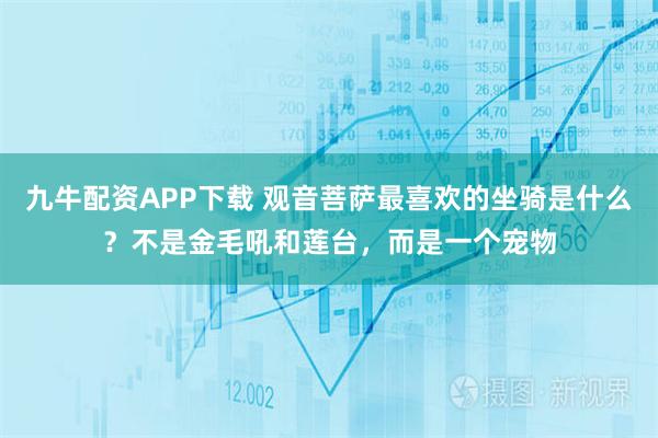 九牛配资APP下载 观音菩萨最喜欢的坐骑是什么？不是金毛吼和莲台，而是一个宠物