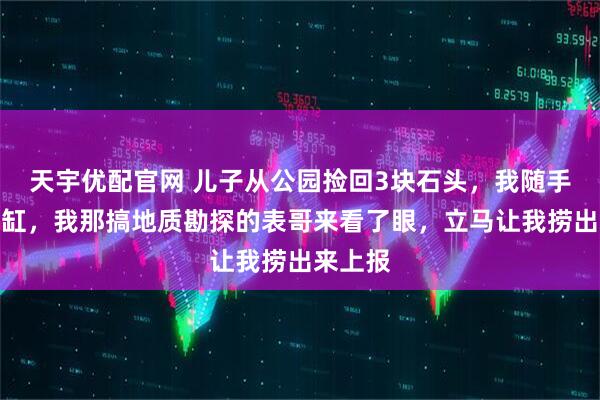 天宇优配官网 儿子从公园捡回3块石头，我随手扔进鱼缸，我那搞地质勘探的表哥来看了眼，立马让我捞出来上报