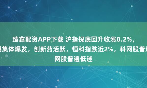 臻鑫配资APP下载 沪指探底回升收涨0.2%,有色铝集体爆发,创新药活跃,恒科指跌近2%,科网股普遍低迷